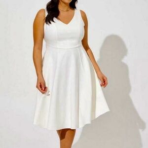 NET Torrid  skater dress 18